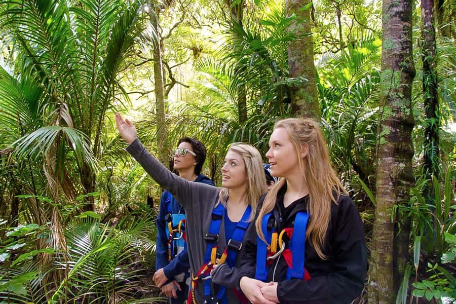 Waiheke Island: Zipline and Native Forest Adventure Trip - How the guides shape the experience
