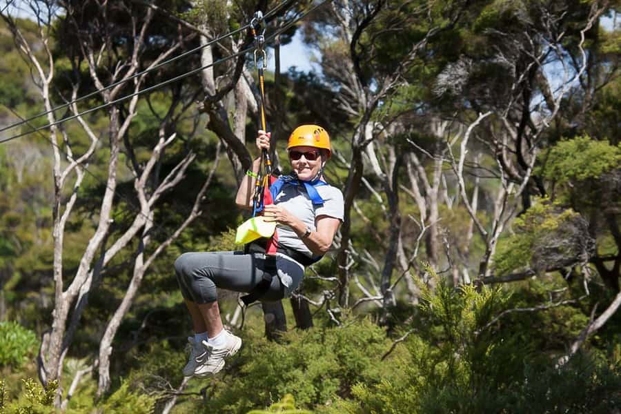 Waiheke Island: Zipline and Native Forest Adventure Trip - Who will enjoy EcoZip most