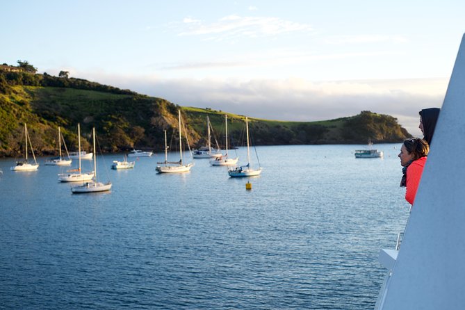 Waiheke Wine and Dine - Batch Winery - Getting to the downtown ferry terminal