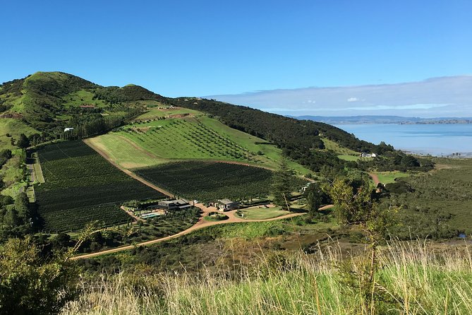 Waiheke Wine and Dine - Batch Winery - The main drawbacks: timing and mixed instructions