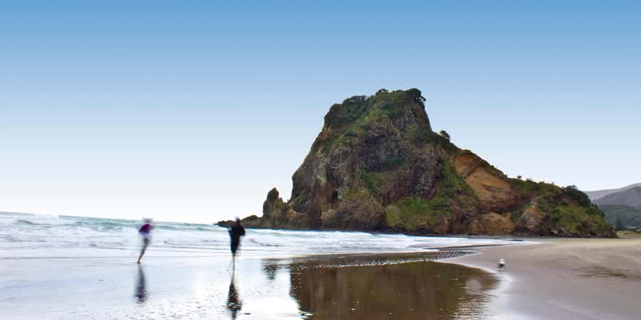 Waitakere Ranges Wilderness Experience Tour from Auckland - Key points to know before booking