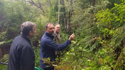 Waitakere Ranges Wilderness Experience Tour from Auckland
