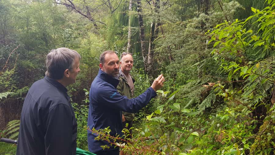 Waitakere Ranges Wilderness Experience Tour from Auckland - Arataki lookouts and Maori carvings