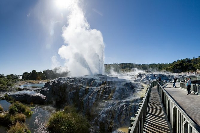 Waitomo Caves Private Driver for Tour - Private pickup from your hotel or port
