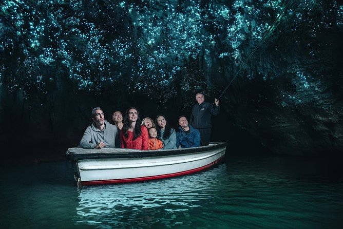 Waitomo Caves Private Driver for Tour - Should you book it?