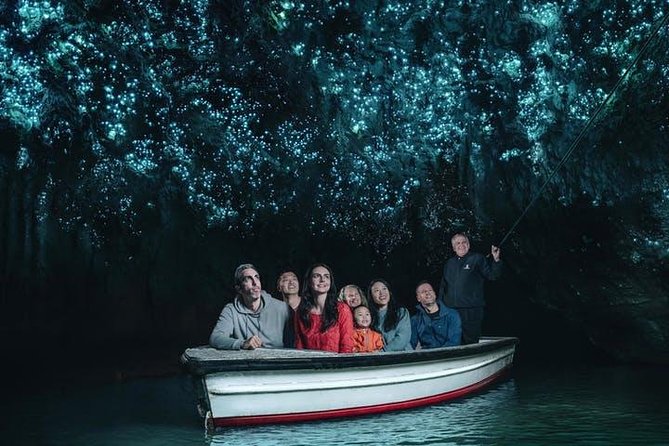 Waitomo Caves Private Tour from Auckland - Why the Waitomo glowworms are the main event
