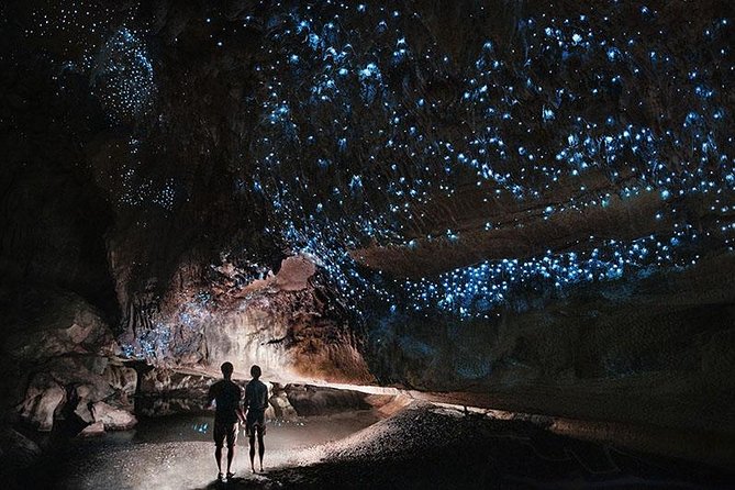 Waitomo Caves Private Tour from Auckland - The 45-minute walk before the boat