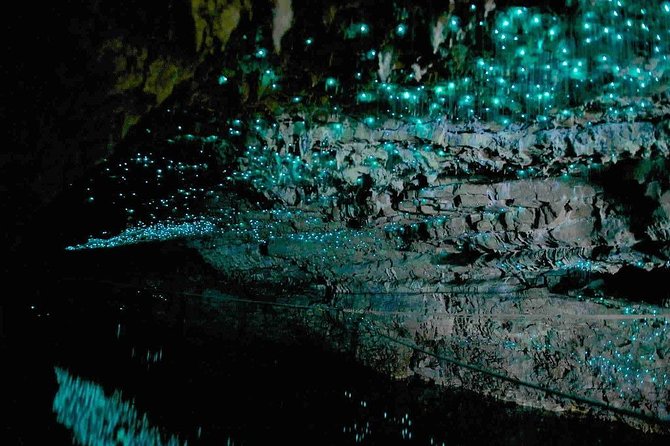 Waitomo Caves Private Tour from Auckland - Weather, road closures, and booking risk
