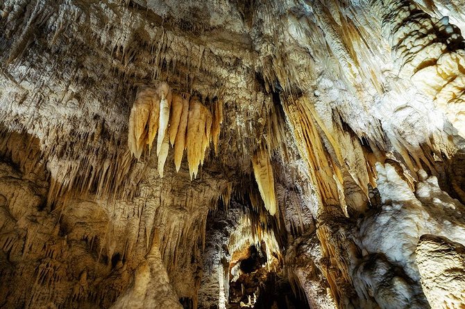 Waitomo Caves & Rotorua - Te Puia Small-Group Tour from Auckland - The 6:00 am start and the road south