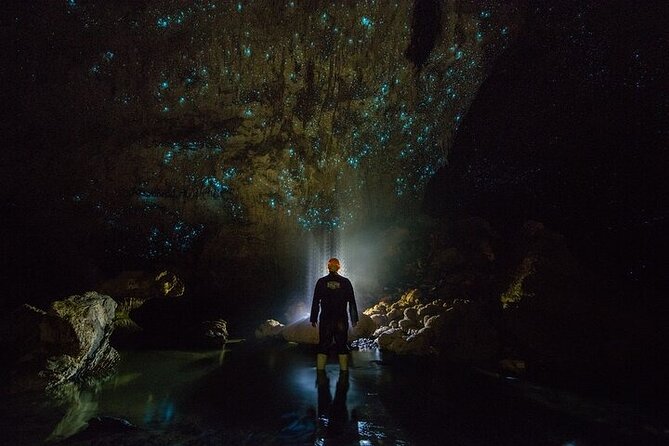 Waitomo Glow Worm Caves - Key points at a glance