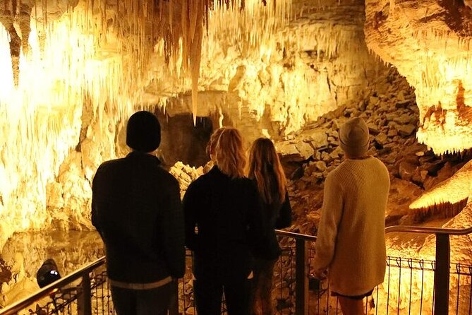 Waitomo Glow Worm Caves - The boat ride is the quiet heart of the experience