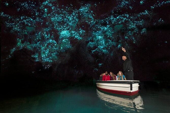 Waitomo Glow Worm Caves & Te Puia - Rotorua's Geothermal Valley - Carving, weaving, and kiwi viewing