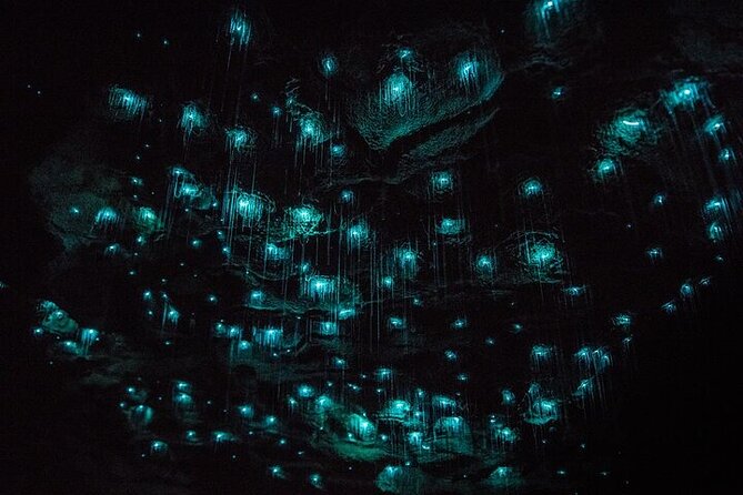 Waitomo Glow Worm Caves - The Auckland pickup makes a distant attraction easier