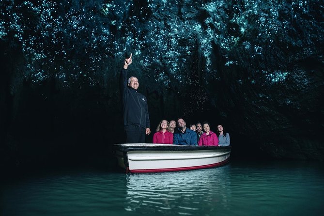 Waitomo Glowworm Caves In a Private Small Group Tour-Auckland. - The glowworms are the main event