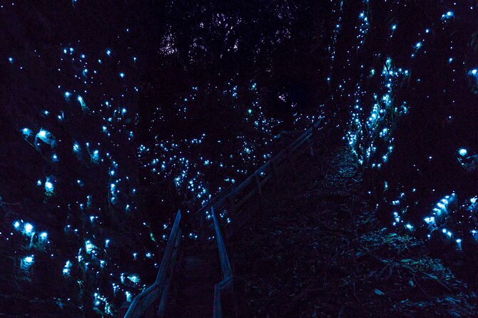 Waitomo Glowworm Caves In a Private Small Group Tour-Auckland. - Inside the two-level cave system