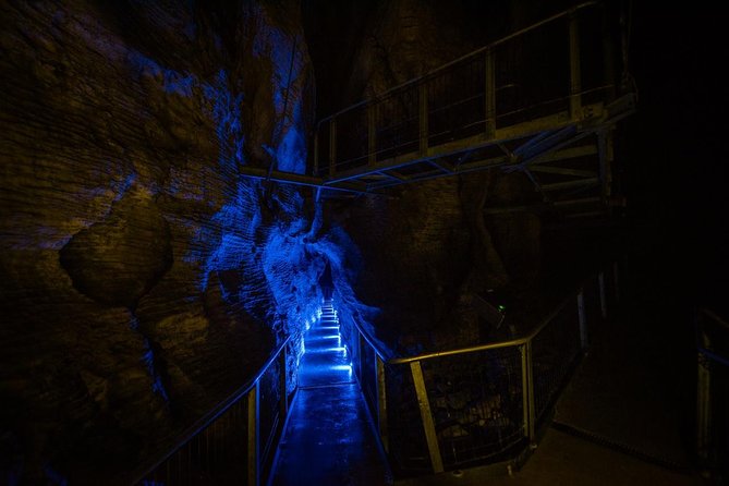 Waitomo Glowworm & Ruakuri Twin Cave Experience - Small Group Tour From Auckland - A coffee stop at Robert Harris