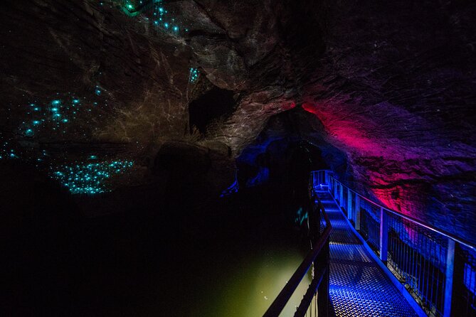 Waitomo Glowworm & Ruakuri Twin Cave - Private Tour From Auckland - Coffee at Robert Harris and the Waikato route