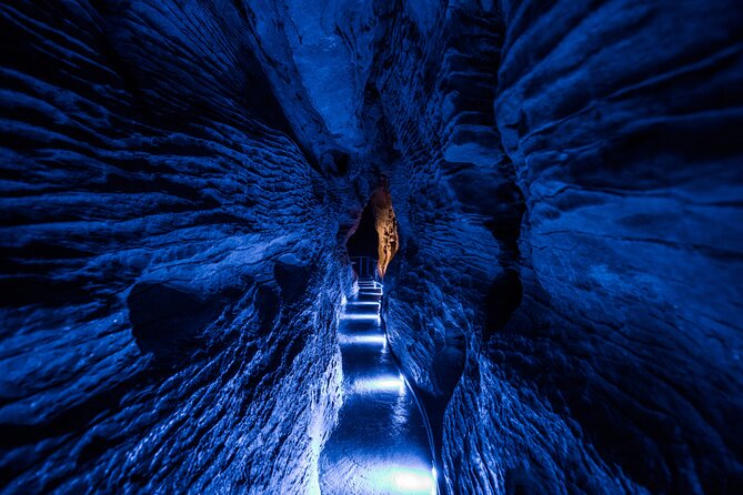 Waitomo Glowworm & Ruakuri Twin Cave - Private Tour From Auckland - The Glowworm Cave and its quiet underground boat ride
