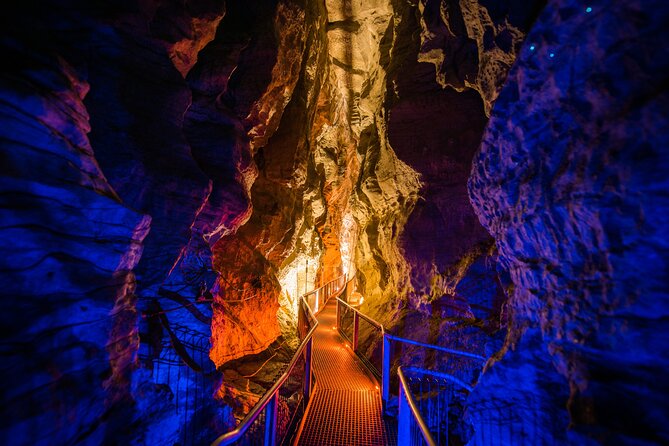 Waitomo Glowworm & Ruakuri Twin Cave - Private Tour From Auckland - How the guide and private format shape the day