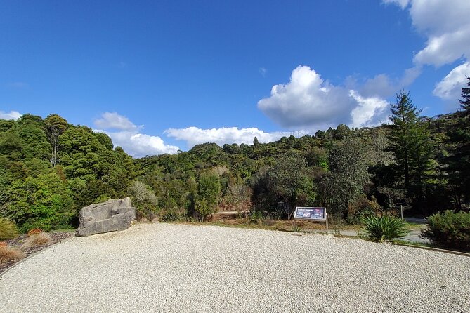 Waitomo Glowworm & Ruakuri Twin Cave - Private Tour From Auckland - What the $650.98 price really covers