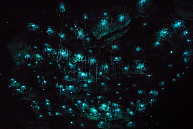 Waitomo Glowworm & Ruakuri Twin Cave Small Group Tour Ex-Auckland - Key points to know before booking