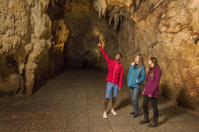 Waitomo Glowworm & Ruakuri Twin Cave Small Group Tour Ex-Auckland - The 45-minute Glowworm Cave visit