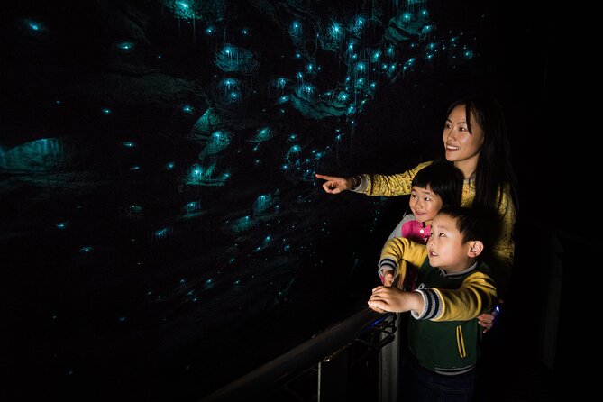 Waitomo Glowworm & Ruakuri Twin Cave Small Group Tour Ex-Auckland - Ruakuri Cave gives you more time underground