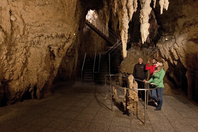 Waitomo Glowworm & Ruakuri Twin Cave Small Group Tour Ex-Auckland - Who will enjoy this small-group cave trip?