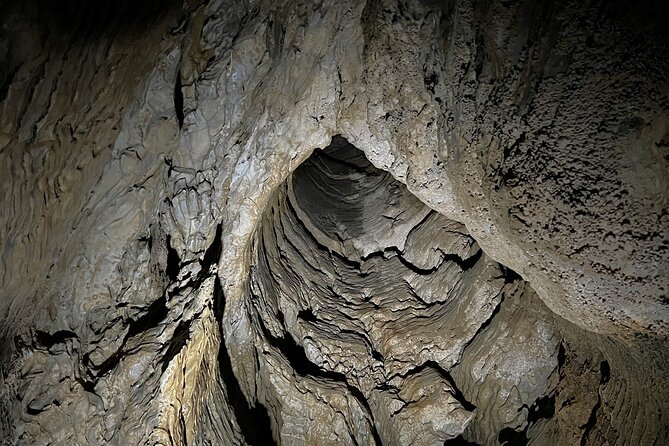 WAITOMO - Twin Caves Discovery - Private Day Tour from Auckland - A one-hour stop at Waitomo Homestead