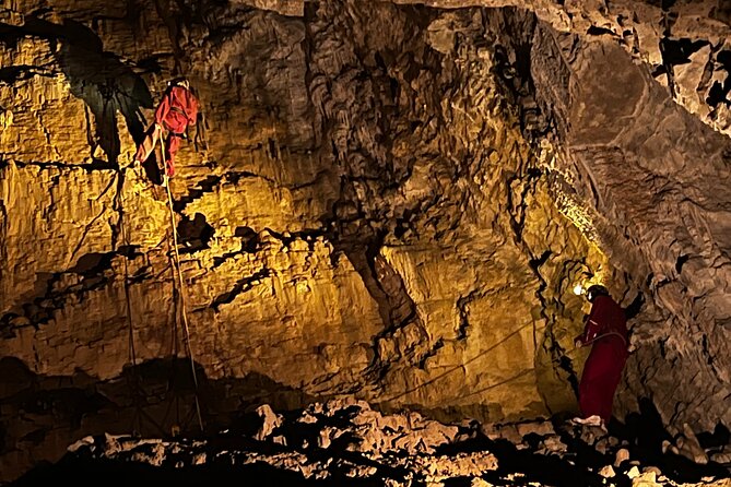 WAITOMO - Twin Caves Discovery - Private Day Tour from Auckland - Ruakuri Cave is the more active half