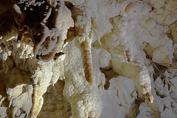 WAITOMO - Twin Caves Discovery - Private Day Tour from Auckland - The trip back through Mercer