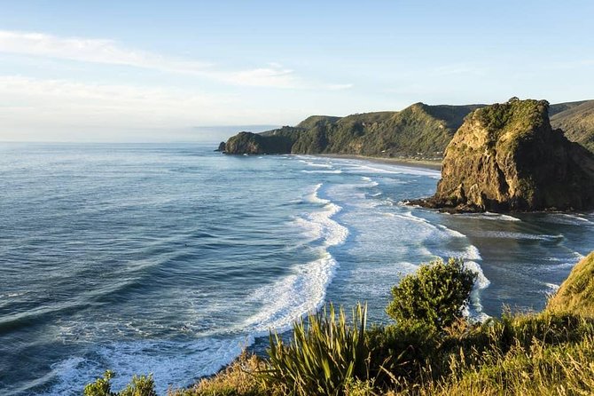 West Coast Discovery - Piha Beach or Muriwai Beach from Auckland - Key points to know before you book
