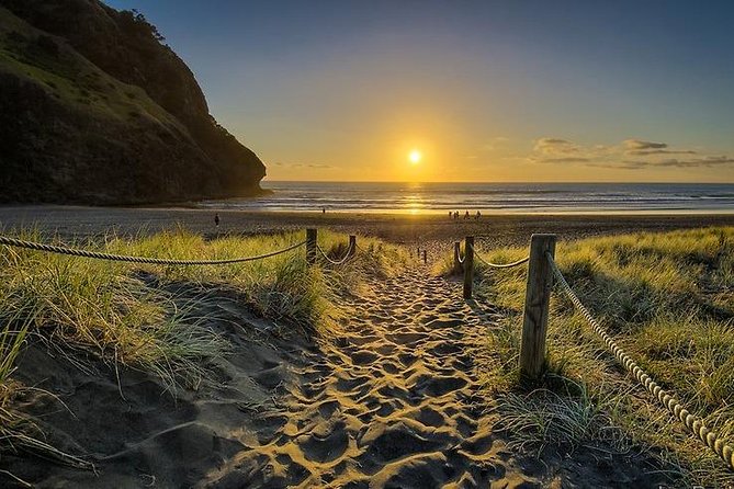 West Coast Discovery - Piha Beach or Muriwai Beach from Auckland - Arataki Centre: the best place to understand the setting