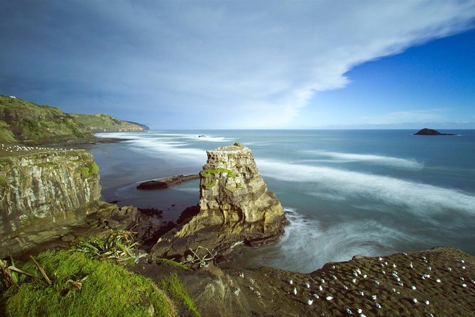 West Coast Discovery - Piha Beach or Muriwai Beach from Auckland - Muriwai and the gannet colony