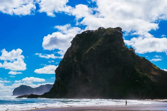 West Coast Discovery Tour - Karekare Falls and the easy walk into the forest